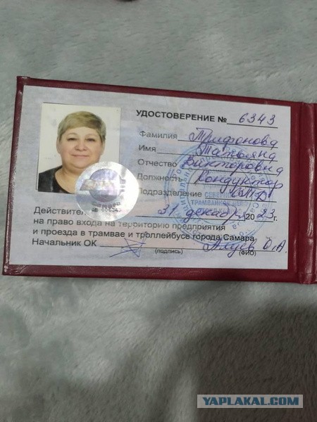 Проводник, высадившая кота Твикса, временно отстранена от работы