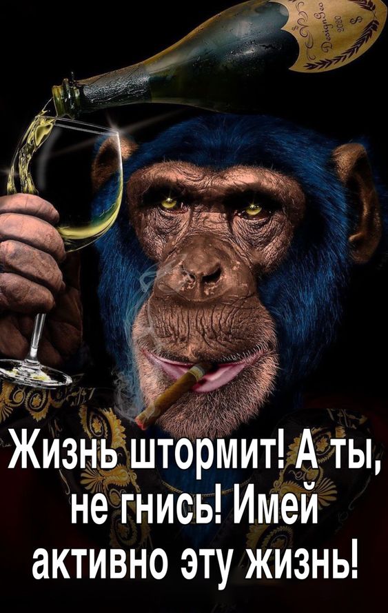 Прикольные и просто красивые картинки 07.06.2024