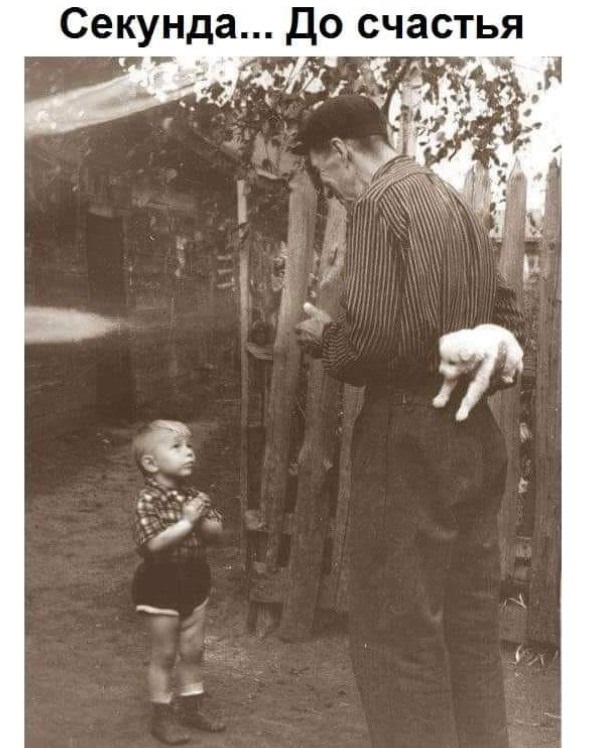 Картинки разные с надписями и без