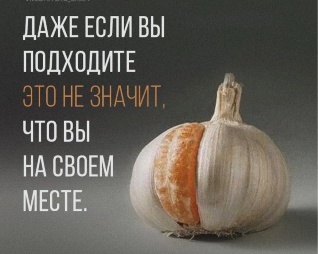 Весёлые картинки
