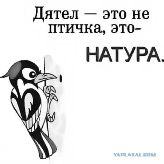 В свете последних событий