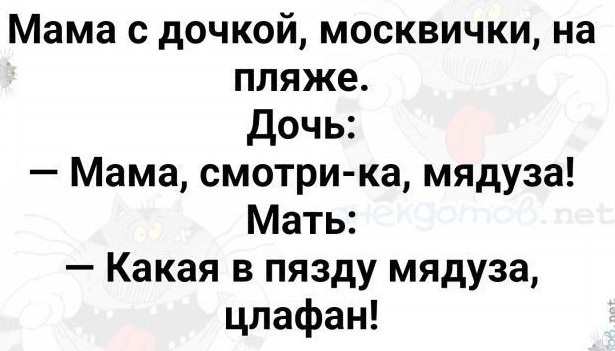 Приехали в Москву