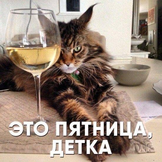 Прикольные и просто красивые картинки