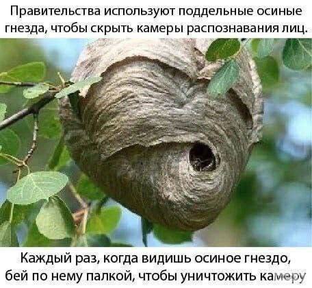 Картинки для деградации-6 (разной степени свежести)