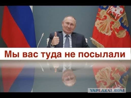 Семьям участников СВО хотят дать право на внеочередное медобслуживание
