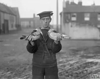 Социальные сети