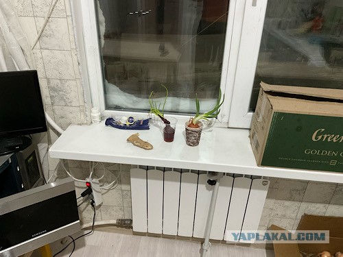 Лучара