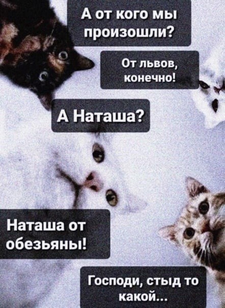 Найди себе уже мужика, Наташа!