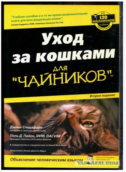 Дама в 38 лет хочет семью