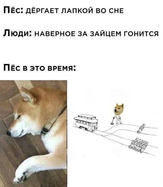 Потная гамсахурдия №7
