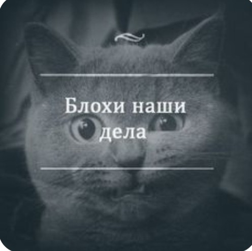 Картинки для деградации 262 (разной степени свежести)