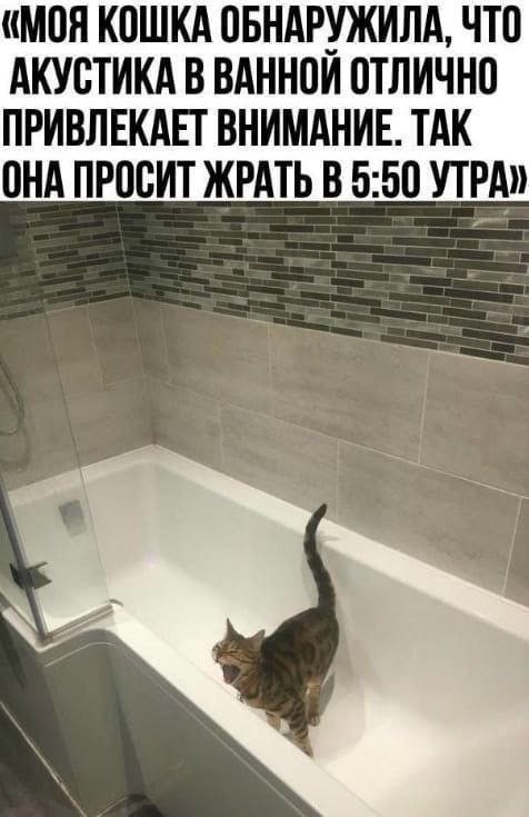 Картинки для деградации 292 (разной степени свежести)
