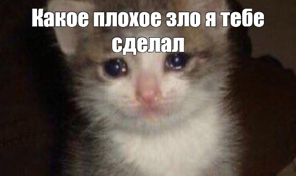 Срочно обнять и утешить