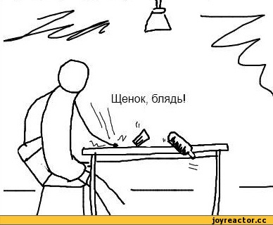Как спят щенки?