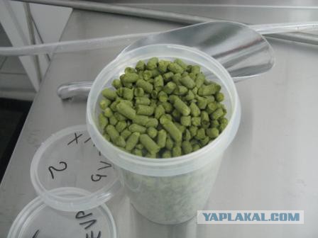 Первая варка настоящего ПИВА