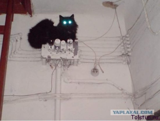 Запущена первая социальная сеть для украинцев