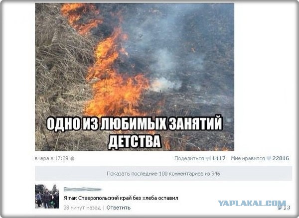 Смешные комментарии на 16.04.2014