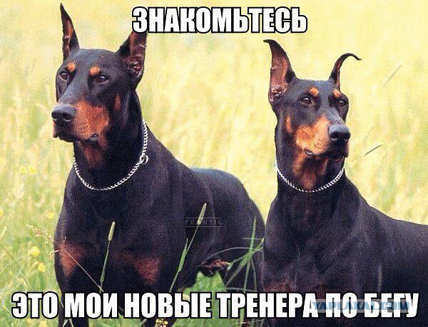 Каких авто мы можем лишиться из-за санкций?