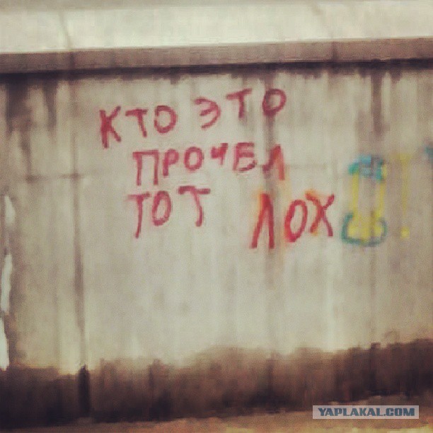 Жемчужина Казахстана! Almaty Tapok Edition