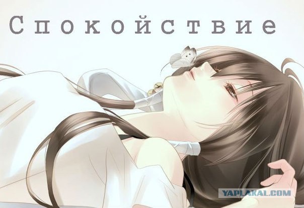 Свежие картинки из сети