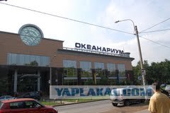 Московский океанариум глазами профессионала