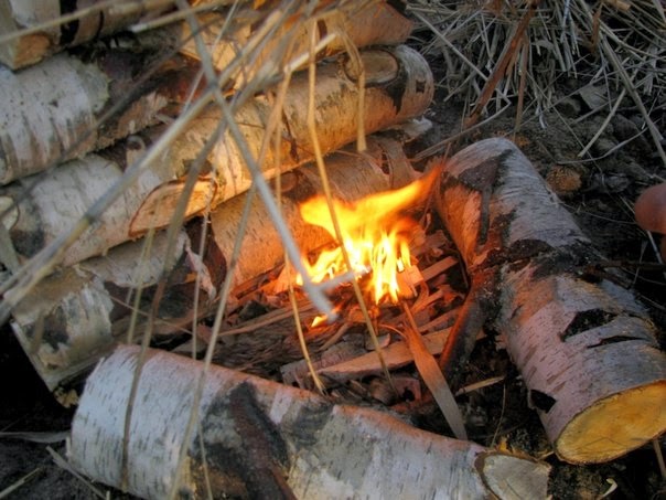 Конвекционный очаг