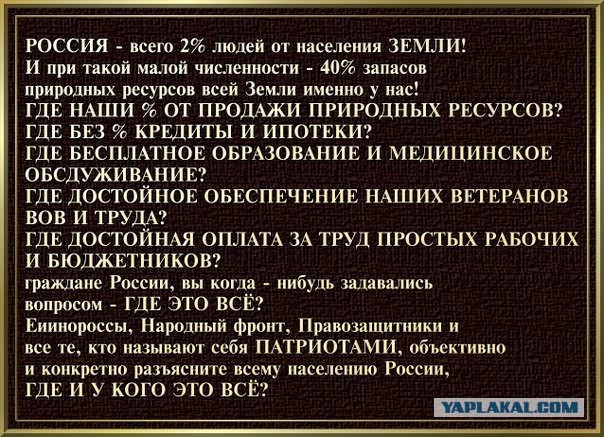Во всем виноват Путин