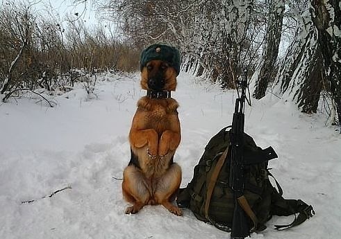 Мой хозяин идиот часть"N"
