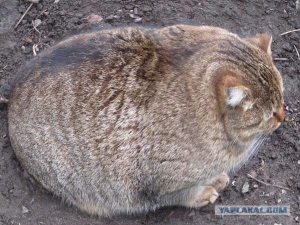 Ей холодно, а нам страшно!