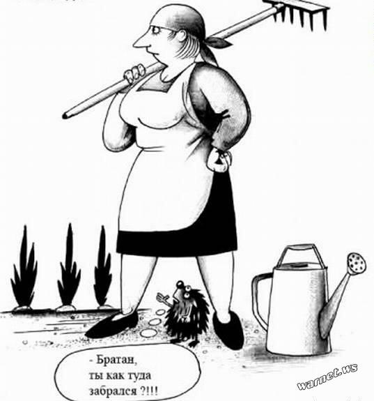 Забавные рисунки