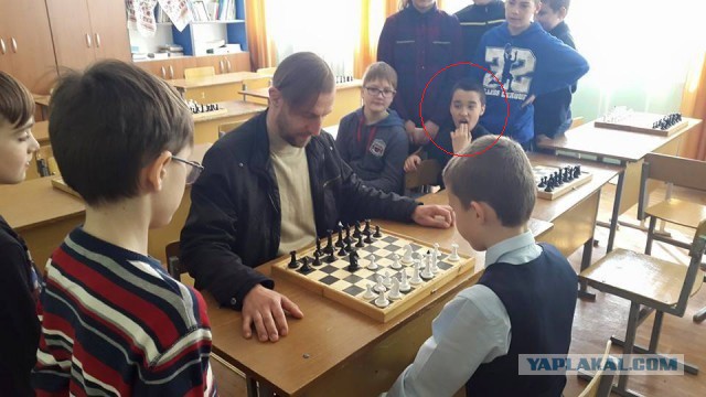 Козак Гаврилюк играет в шахматы