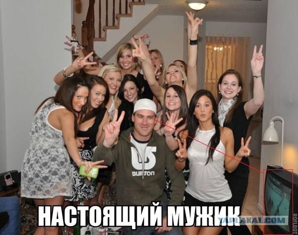 Вторничные картинки