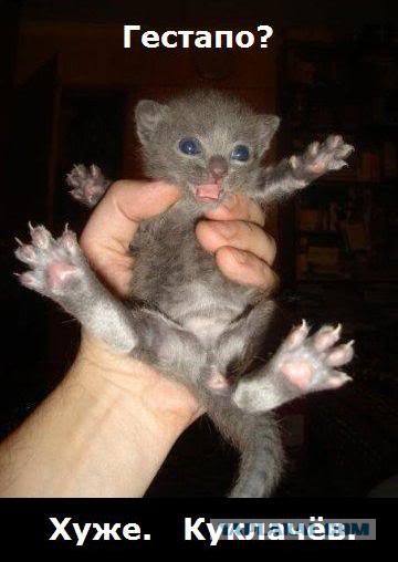 Разные картинки из сети