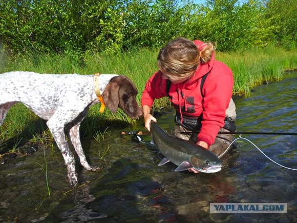 Собакочетверг