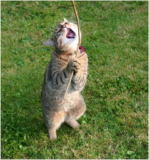 Подборка интересных и веселых картинок