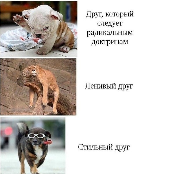 Интересные и веселые картинки