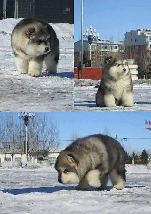 Картинки, интересные и веселые