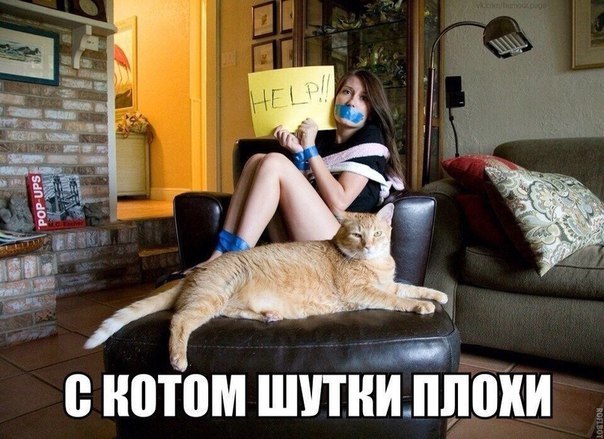 Мохнатые беспредельщики