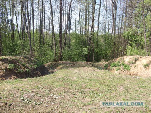 Хорошо иметь домик в деревне. История из жизни.