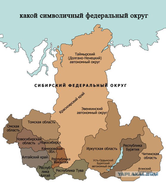Порция картинок из сети