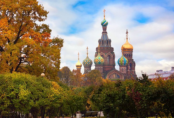 Картинки для отдыха глаз