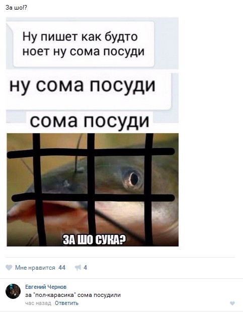 Ужасы и приколы из соцсетей 18+