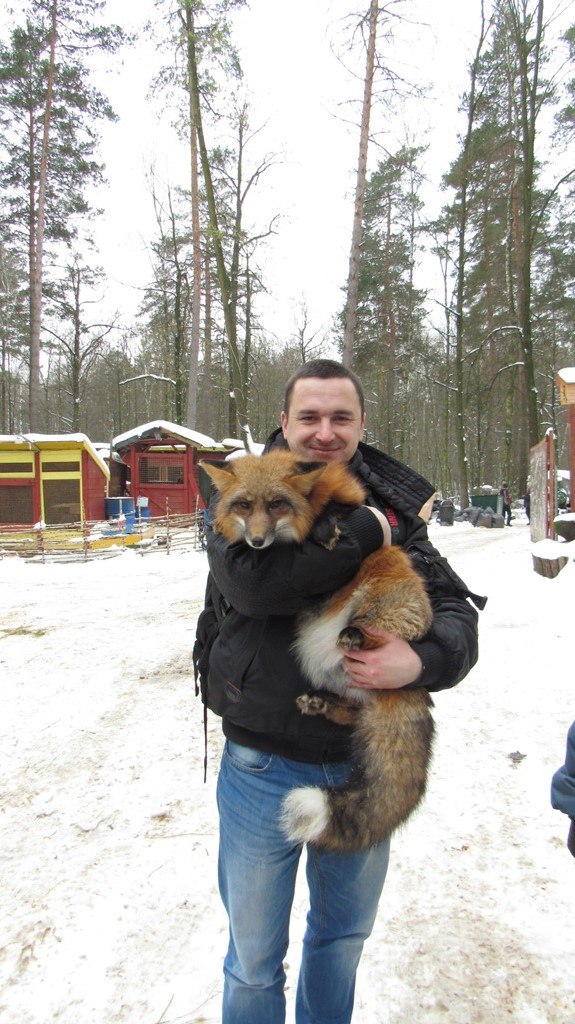 Снег. Лес. Волки. Фотоаппарат.