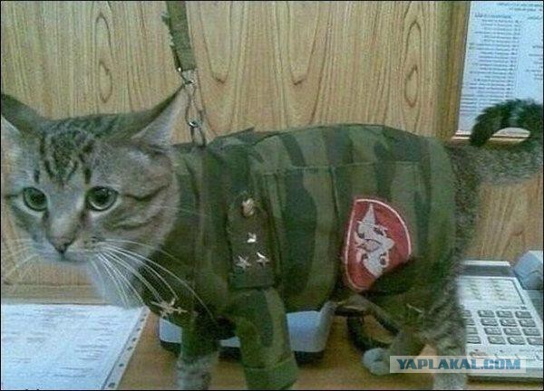 Сугубо военное. Суровое до усрачки