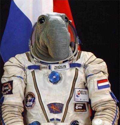 Что сообщили на конференции NASA
