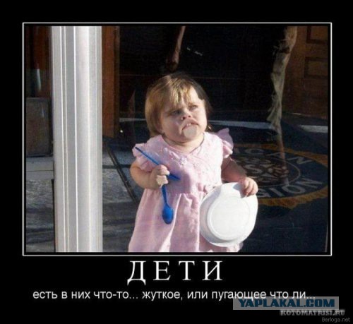 Очередная порция перлов