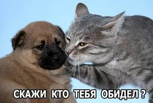 Вещи, которые делают только русские