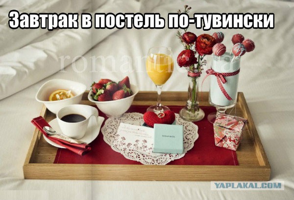 Коротко обо всех