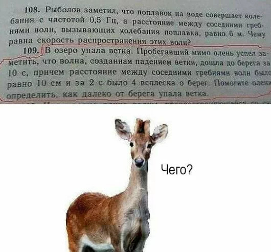 Подборка интересных и веселых картинок