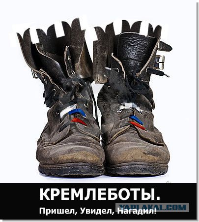 Подмосковные депутаты назвали приход местного жителя на их заседание «плевком в душу»